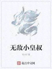 无敌小皇叔封面